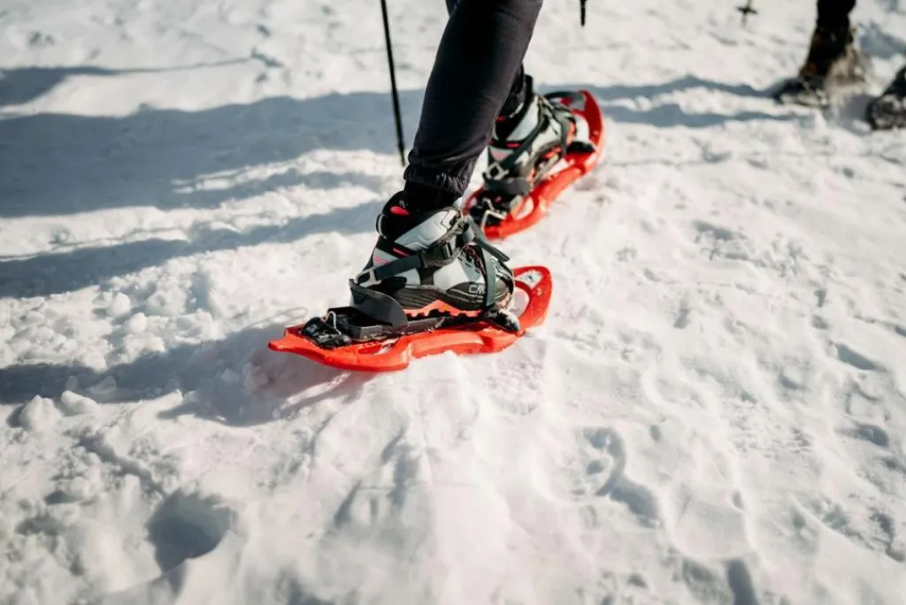 Damen Tytanus Mid wasserdichter Schuh>CMP